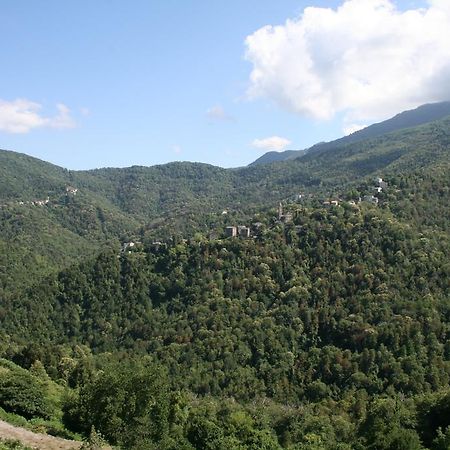 Le Refuge Orezza Piedicroce  Bilik gambar
