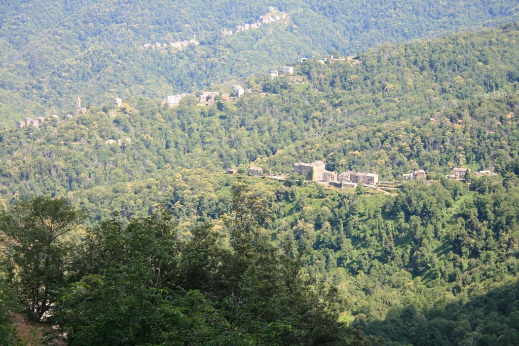 Le Refuge Orezza Piedicroce  Luaran gambar