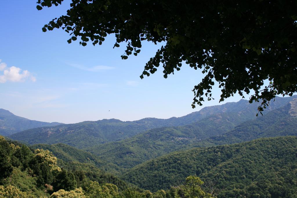 Le Refuge Orezza Piedicroce  Luaran gambar