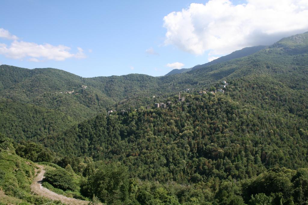 Le Refuge Orezza Piedicroce  Bilik gambar